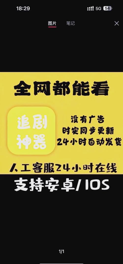 亚洲中出少妇的相关介绍
