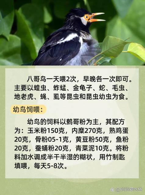 性感人妻饥渴的相关介绍