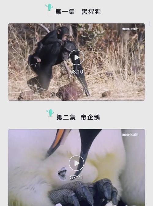 欧美日韩在线播放一区二区的相关介绍