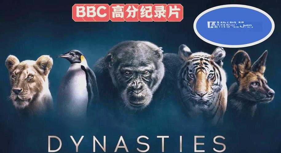 迷人的大乳秘书的相关介绍