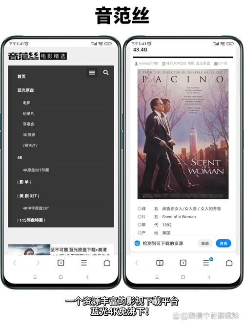 国产熟女黑丝av的相关介绍