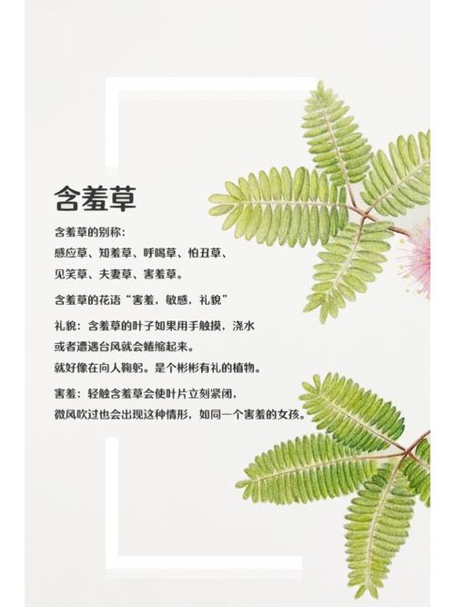 日韩熟妇x的相关介绍