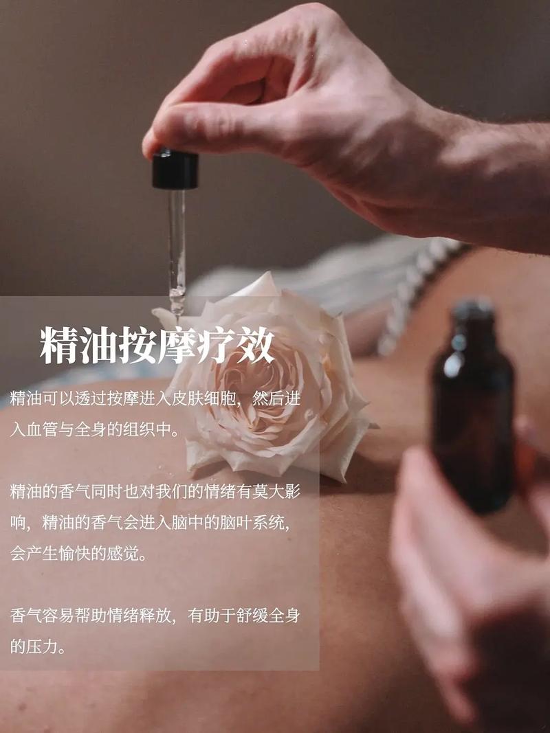 意大利最新伦理的相关介绍
