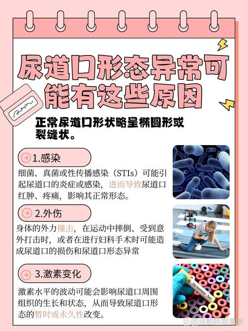 一边亲一边吻一边摸一边做的相关介绍