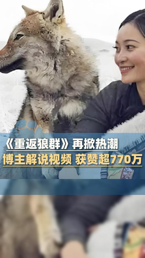 老湿影院费全过程免的相关介绍