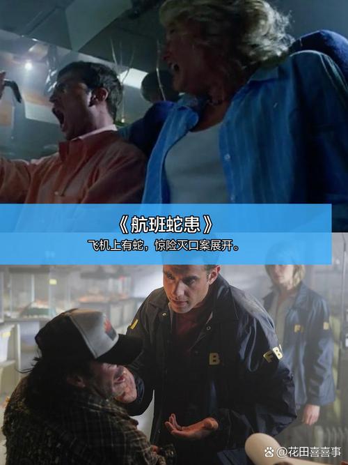 长春新天地电影院的相关介绍