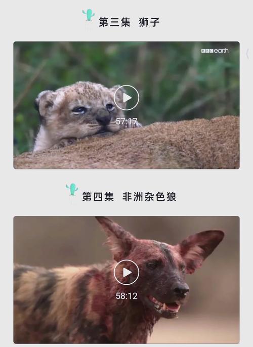 国产精品19久久久久久不卡的相关介绍