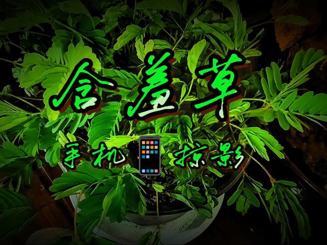 老湿影院免费x看的相关介绍
