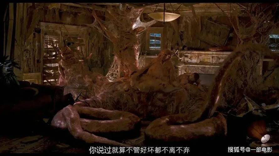 18禁美女在线看的相关介绍