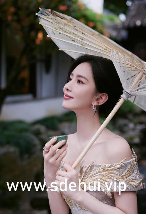 八妻子伦理电影院在线观看的相关介绍