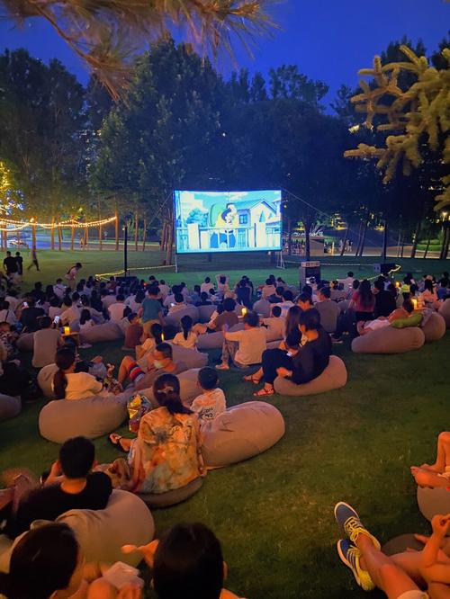 中国影院的相关介绍