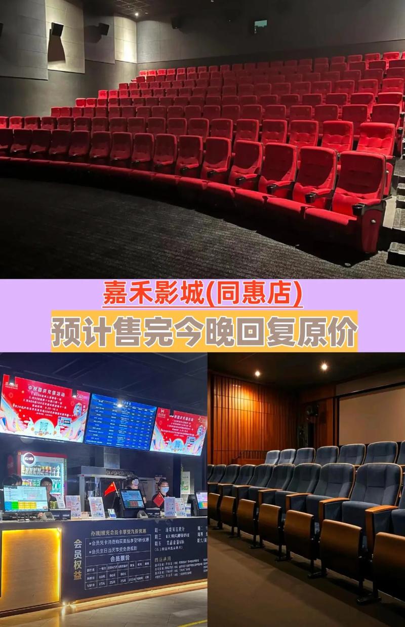 iidvd影院的相关介绍