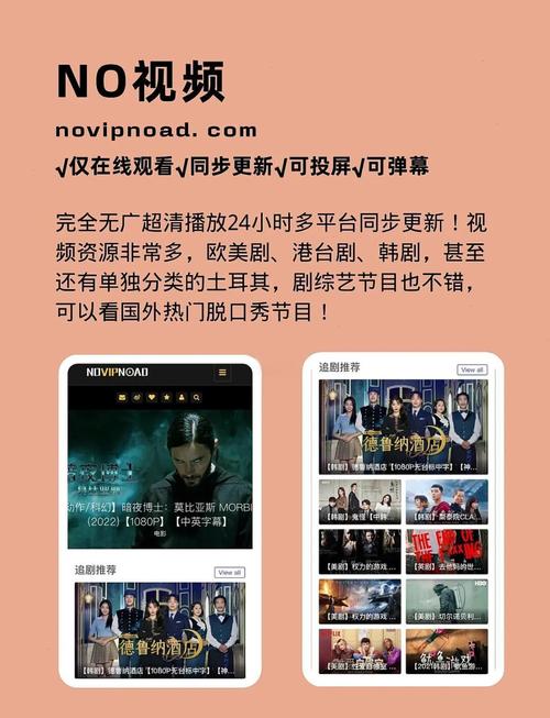 琪琪se影院的相关介绍