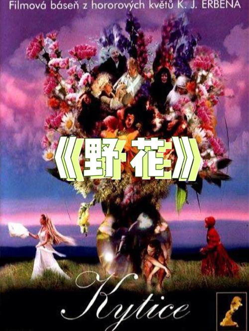 6029影院官网的相关介绍