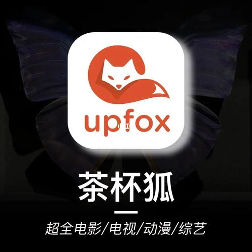 久久久精品6的相关介绍