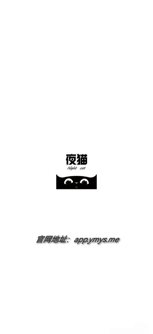 国产精品久久久久久婷婷不卡的相关介绍