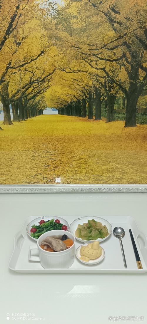 7频道影院的相关介绍
