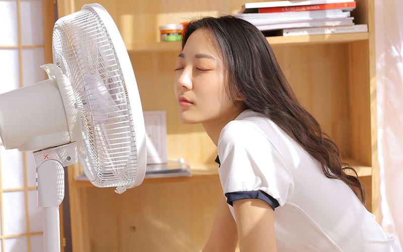 5g手机影院的相关介绍