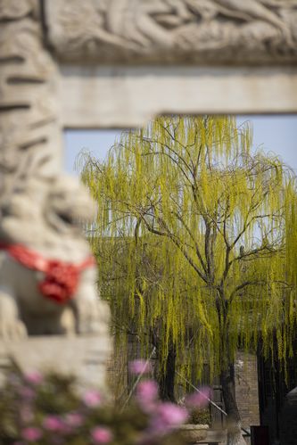 老师扒开让我太爽了一夜的相关介绍
