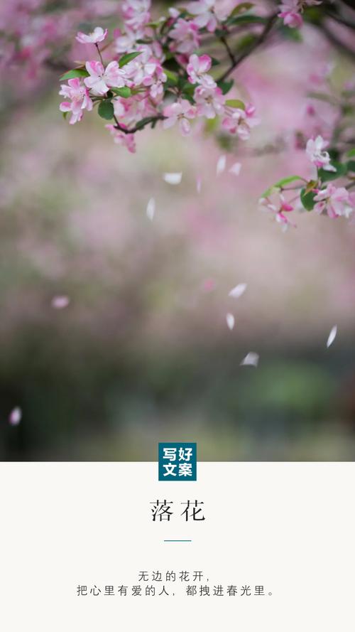 欧美日韩久久91蜜桃一区二区的相关介绍