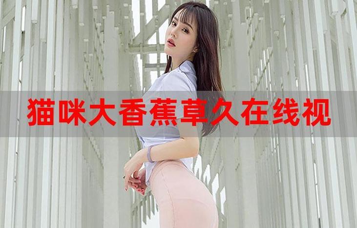 青柠影院在线观看的相关介绍