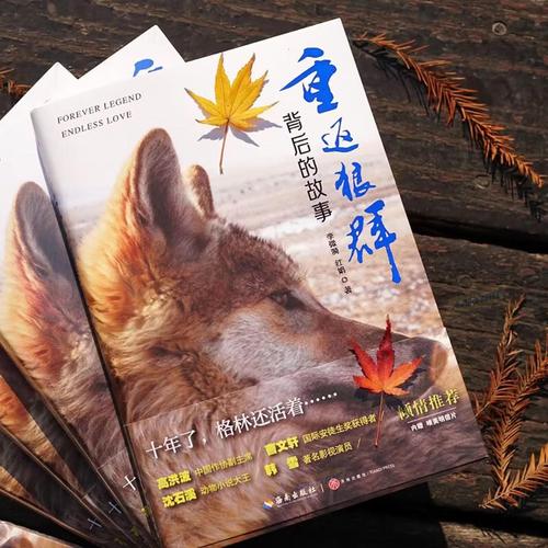 男人的天堂激情网的相关介绍