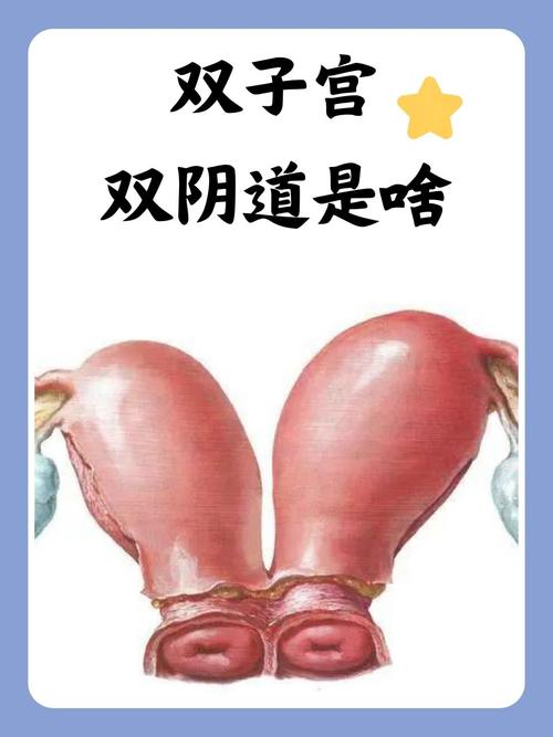 人妻按摩电影在线的相关介绍