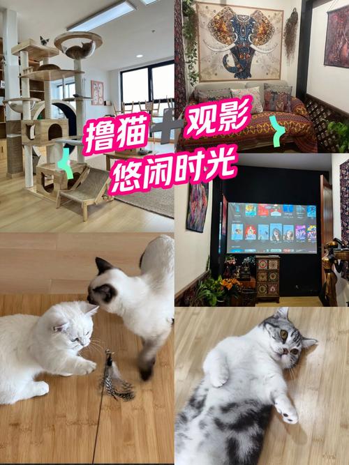 欧美 一区 二区 三区 在线的相关介绍