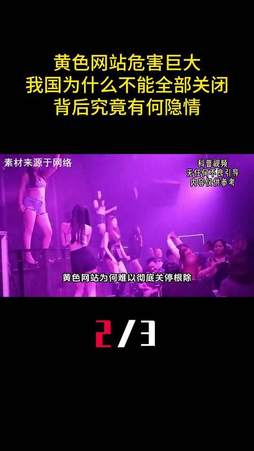 免费看女人b的网站的相关介绍