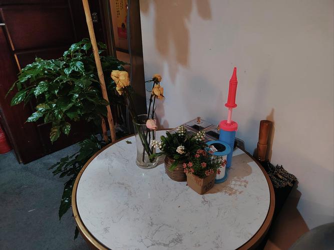 精品9久久久的相关介绍