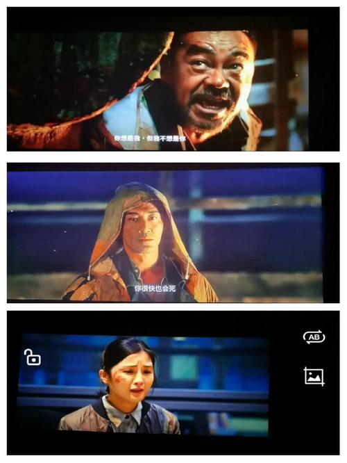精品va在线观看的相关介绍