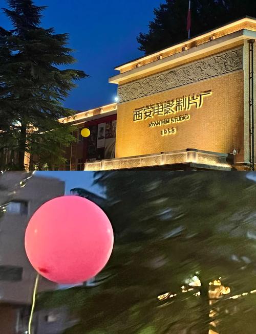 四虎影院的相关介绍