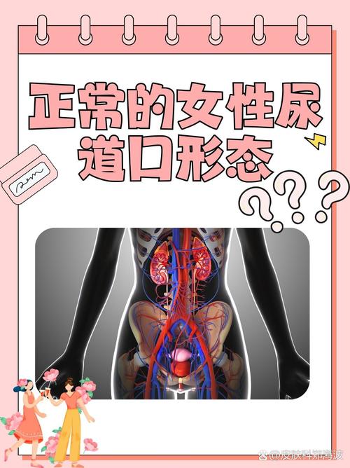 给我一个能看的毛片的相关介绍