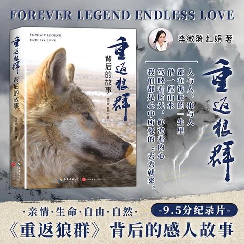930影院的相关介绍