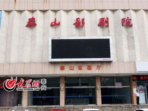 国产成人影院的相关介绍