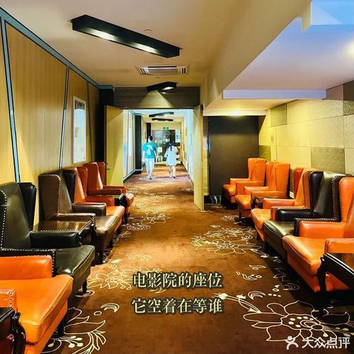 va在线观看的相关介绍