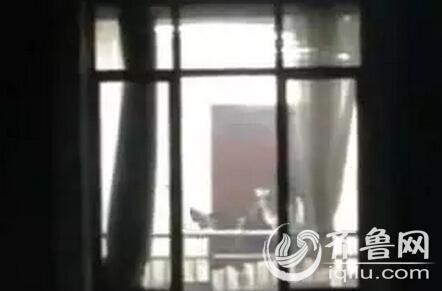 多多屋影院的相关介绍