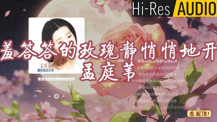 69视频下载app的相关介绍