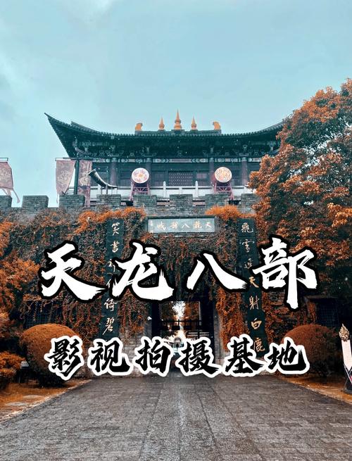 岛国毛片大片的相关介绍