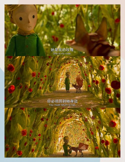 神马影院伦理我不卡的相关介绍