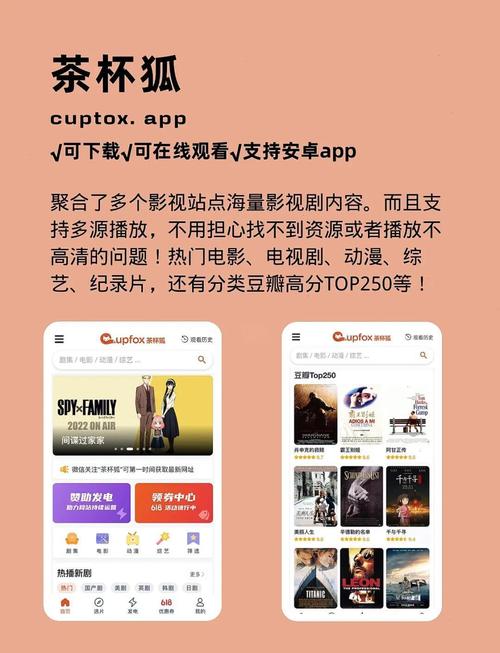 808影院网的相关介绍